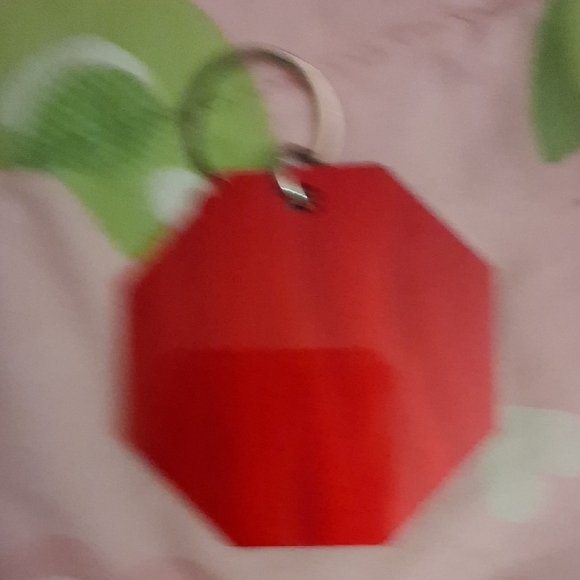 Red Octagonal Keychain with Humorous Quote - Picture 3 of 3